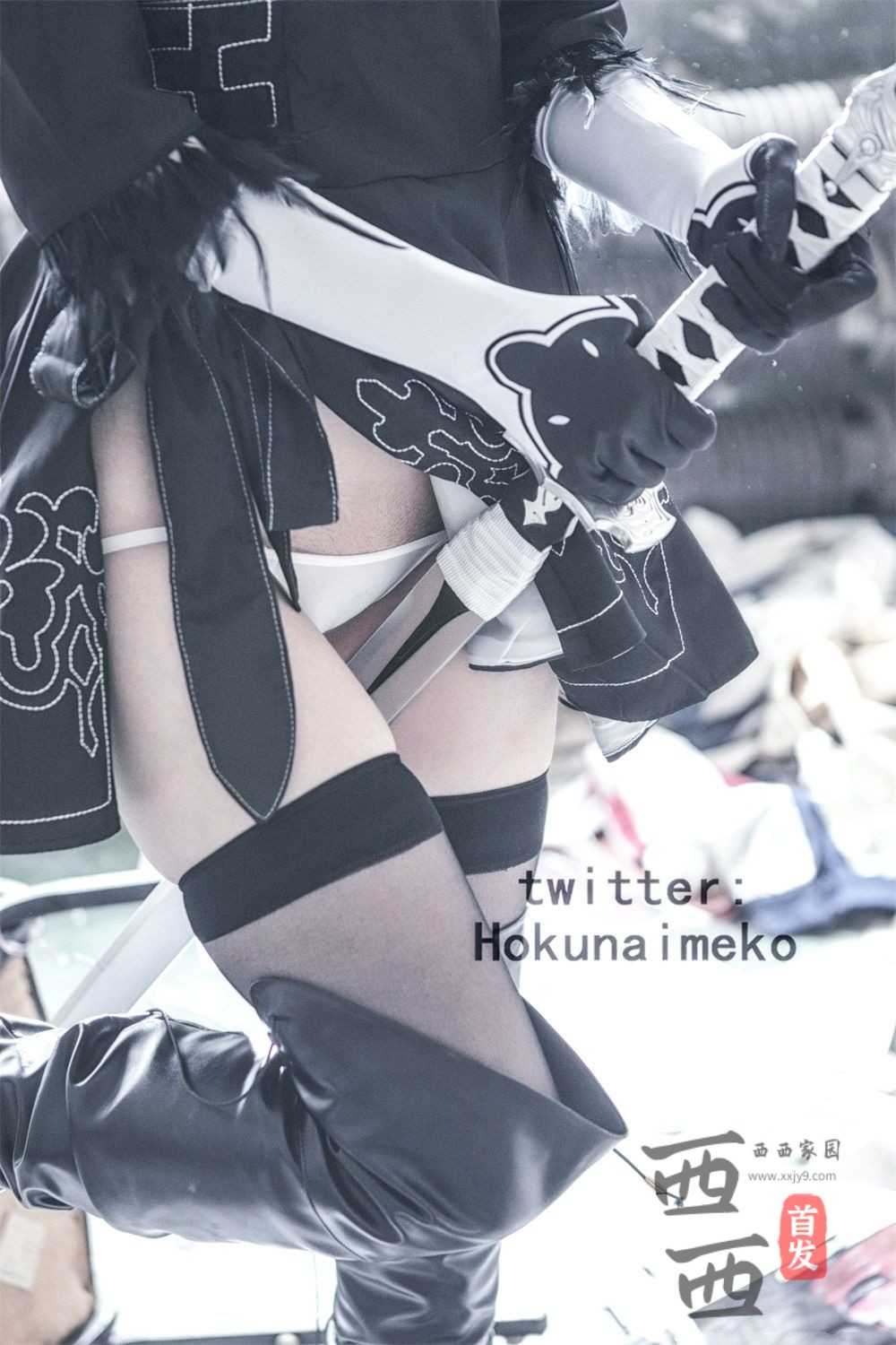 Hokunaimeko - 2B [81P+1V/359M]（3）